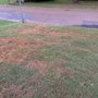 Photo of Mid-South Turf Professionals
