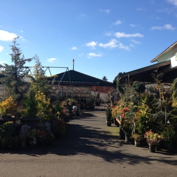 Bark & Garden Center - View from parking lot - Nurseries & Gardening Near Me - Olympia, Washington