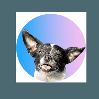 Canine Brights - Pet Services Near Me Canine Brights - Pet Services Near Me