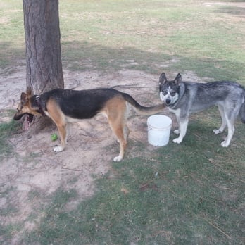 Riverside Dog Park - I counted roughly 15 or so buckets scattered throughout the park. So water is not an issue. - Dog Parks Near Me - Fayetteville, North Carolina Riverside Dog Park - I counted roughly 15 or so buckets scattered throughout the park. So water is not an issue. - Dog Parks Near Me - Fayetteville, North Carolina