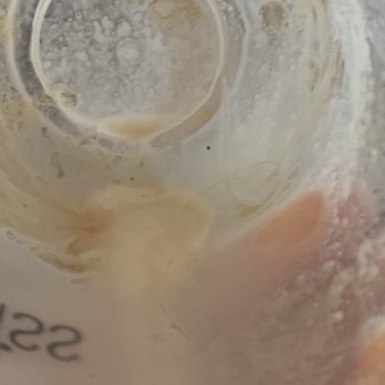 Boba Bliss - Hair in the drink - Bubble Tea Near Me - Dublin, California