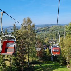 Panorama-Park Sauerland Wildpark
