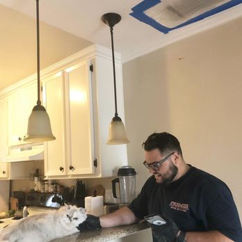 Premier Rooter & Plumbing - Even our cat (@meowrieantoinette) gives Premier an A+ for their amazing service! - Plumbing Near Me - National City, California Premier Rooter & Plumbing - Even our cat (@meowrieantoinette) gives Premier an A+ for their amazing service! - Plumbing Near Me - National City, California