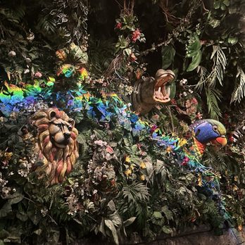 Rainforest Cafe - American Near Me - Gurnee, Illinois Rainforest Cafe - American Near Me - Gurnee, Illinois