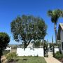 Photo of Active Landscape And Tree Service