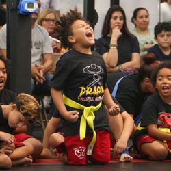 Dragons MMA