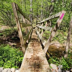 Sweet Run State Park