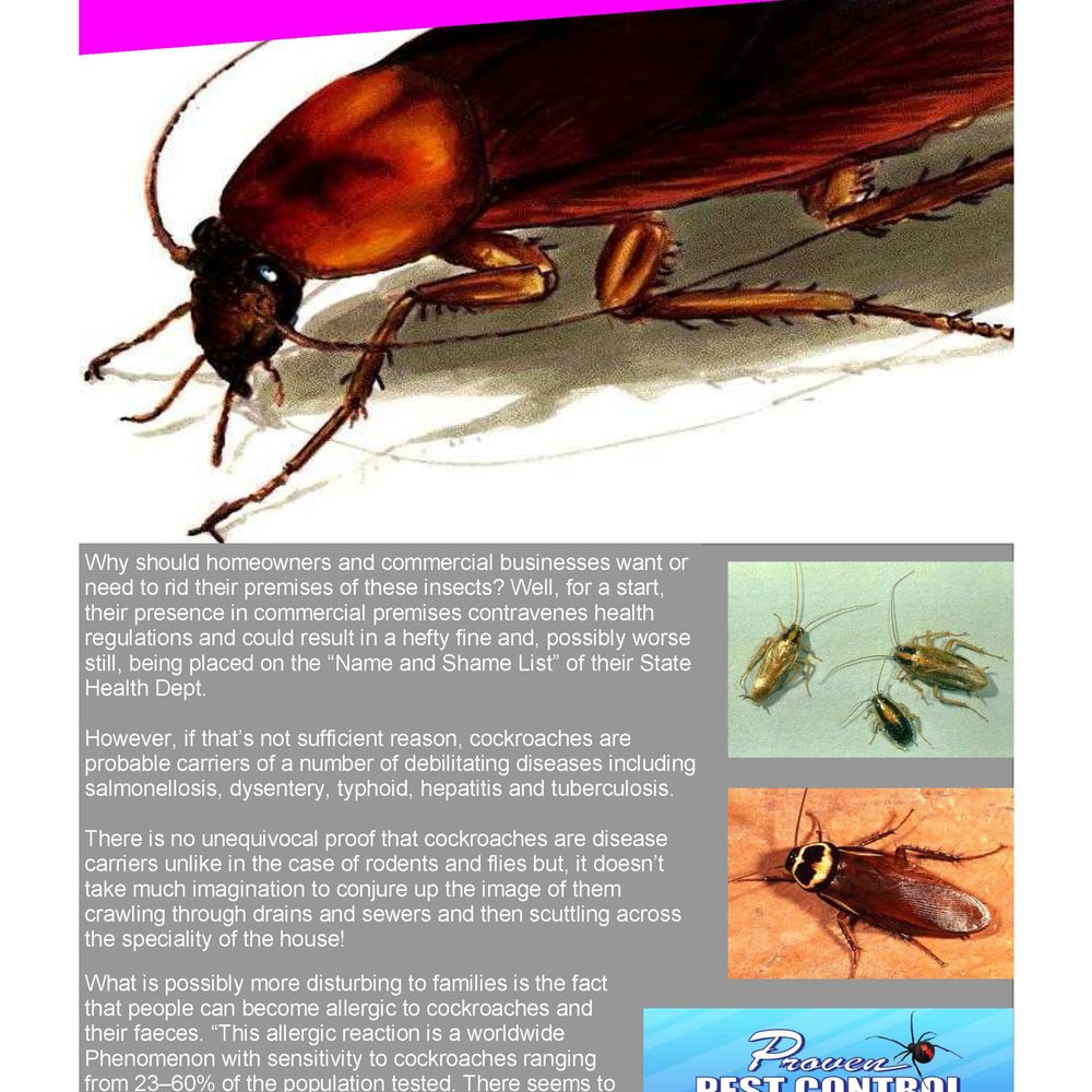 Proven Pest Control Dapto - Pest Control Dapto www.provenpest.net/dapto - Pest Control Near Me - Dapto, NSW