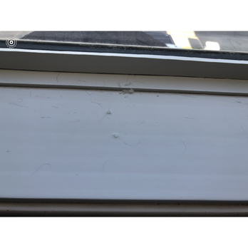 Sparkle & Sheen Organize And Cleaning Services Ltd. - Home Cleaning Near Me - Edmonton, Alberta Sparkle & Sheen Organize And Cleaning Services Ltd. - Home Cleaning Near Me - Edmonton, Alberta