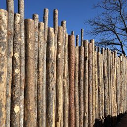 Coyote fence