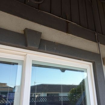 Wanderlust Inn - Birds would sit in the ledge towards evening and night - Hotels Near Me - Ocean Shores, Washington Wanderlust Inn - Birds would sit in the ledge towards evening and night - Hotels Near Me - Ocean Shores, Washington