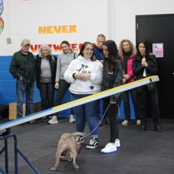 Good Dog Pet Training