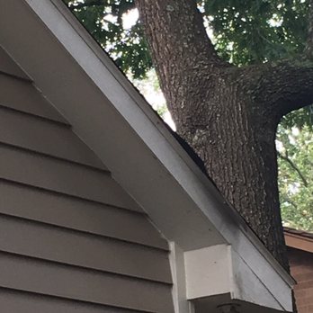 Simmons Roofing and Remodeling - a squirrel on the roof of a house - Roofing Near Me Simmons Roofing and Remodeling - a squirrel on the roof of a house - Roofing Near Me