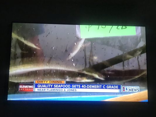 Quality Seafood by null