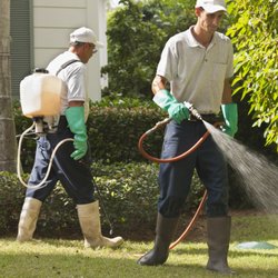 Legacy Pest Control