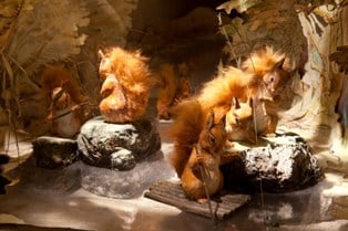 The World of Beatrix Potter Attraction by null