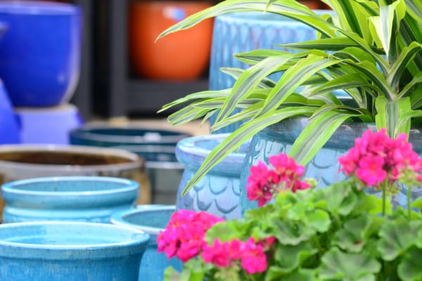 Homestead Gardens by null