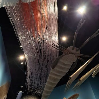 Illinois State Museum - Museums Near Me - Springfield, Illinois