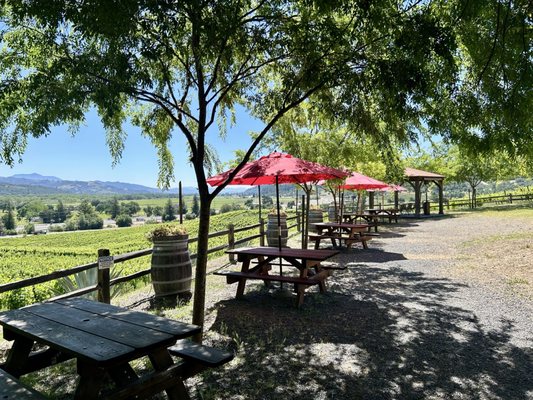 J. Rickards Winery by null