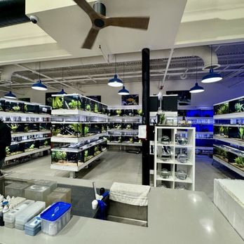 Fish Gallery - This is so satisfying to me - Aquarium Services Near Me - Addison, Texas Fish Gallery - This is so satisfying to me - Aquarium Services Near Me - Addison, Texas