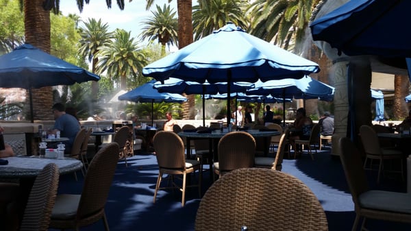 Paradise Cafe by null