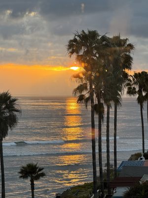 Angel Del Mar by null