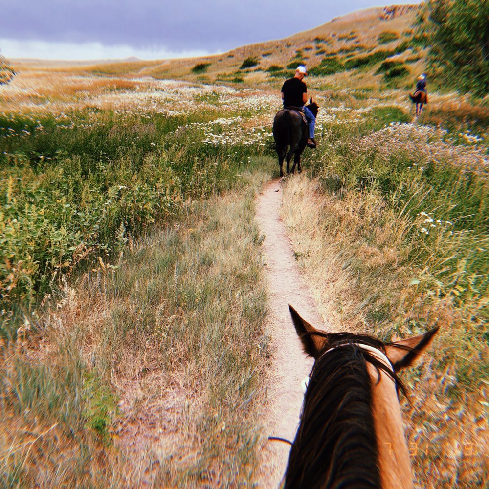 Terry Bison Ranch Resort - Venues & Event Spaces Near Me - Cheyenne, Wyoming Terry Bison Ranch Resort - Venues & Event Spaces Near Me - Cheyenne, Wyoming