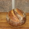 Modesto Bakery gift card