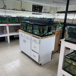 Enchanted Pets