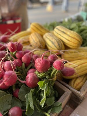 Holly Springs Farmers Market by null