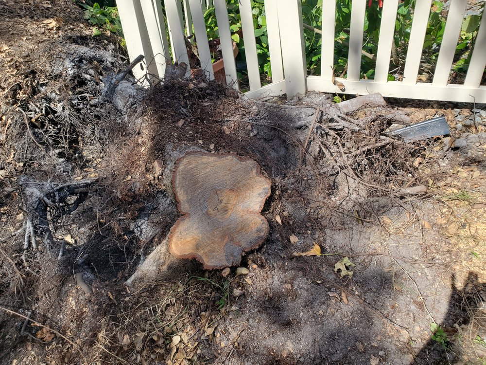 Stump Wiz - tree service in Sparta, MI