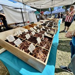 Delray Beach GreenMarket - Fresh herbs and spices can be found at the Delray Beach Green market