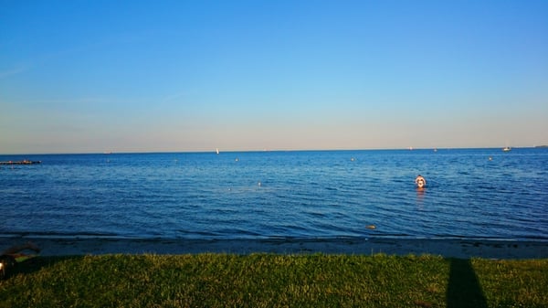 Charlottenlund Beach Park by null
