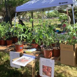 Terra Amico Farms