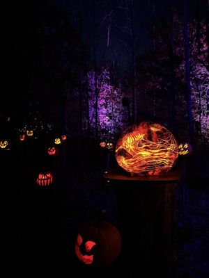 Minnesota Zoo by null