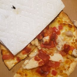 NASTY INSECT served to my daughter