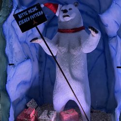 Weihnachtsmarkt & Weihnachtswald