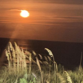 Hilton Garden Inn Outer Banks/Kitty Hawk - Hotels Near Me - Kitty Hawk, North Carolina Hilton Garden Inn Outer Banks/Kitty Hawk - Hotels Near Me - Kitty Hawk, North Carolina