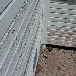 Nino's Kingdom Landscaping - He did all my paintings  sand off caulk all holes did what he had to do and wow
