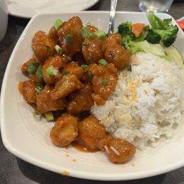 Bang Bang chicken Plate 乒乒鸡饭
