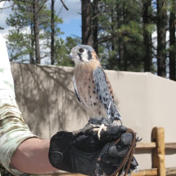 Bearizona - Zoos Near Me - Williams, Arizona Bearizona - Zoos Near Me - Williams, Arizona