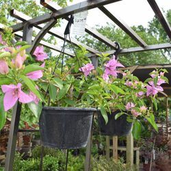 D's Garden Center