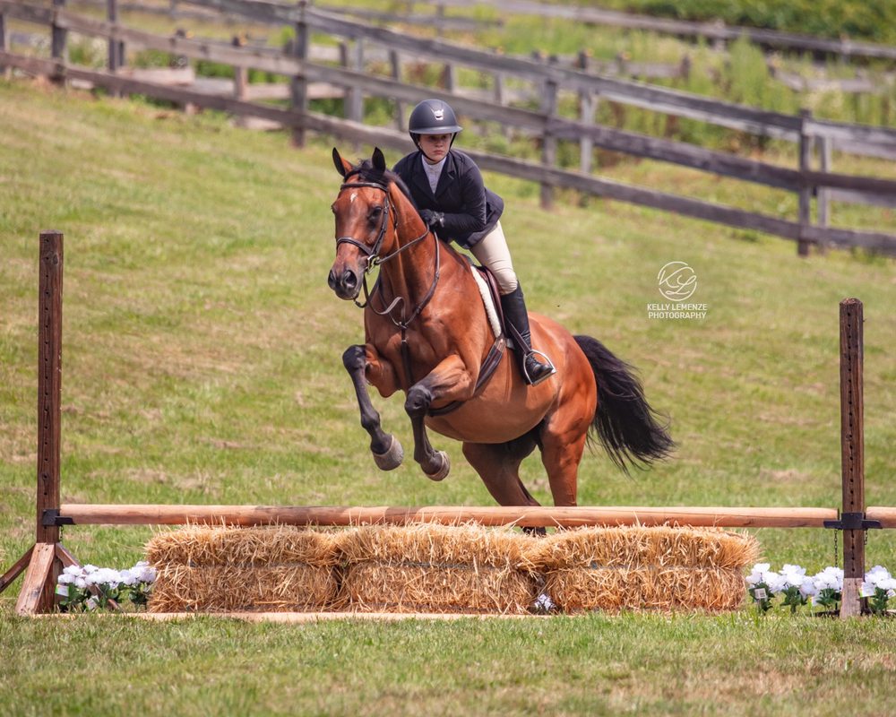 LA BONA VIVO EQUESTRIAN Request Information 39 Photos 55 Bartley Rd, Long Valley, NJ Yelp