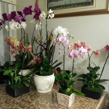 Karen's Flower Boutique - Stunning display of what Karen's Flower Boutique can do. - Florists Near Me - La Puente, California Karen's Flower Boutique - Stunning display of what Karen's Flower Boutique can do. - Florists Near Me - La Puente, California