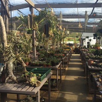 Exotic Gardens - Nurseries & Gardening Near Me - El Cajon, California