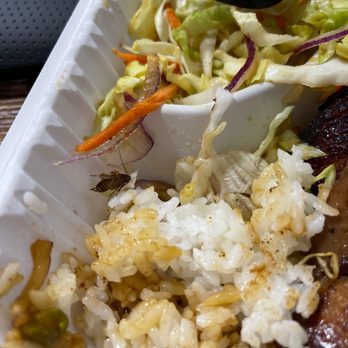 Ono Hawaiian BBQ - Roach in food - Hawaiian Near Me - Mesa, Arizona