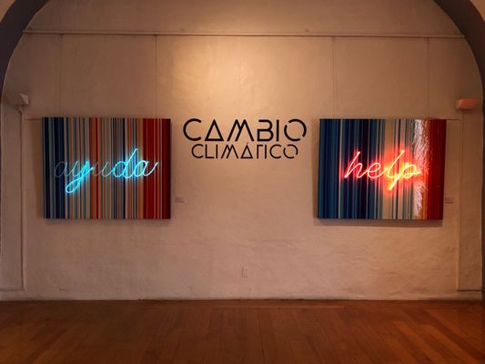 Museo San Pedro de Arte by null