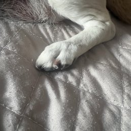 Nail trim Nail trim