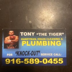 Tony the Tiger Plumbing and Handyman Service - Knockout service for your plumbing