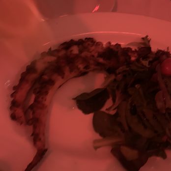 Carro Cafe - Grilled Octopus - Latin American Near Me - Brooklyn, New York